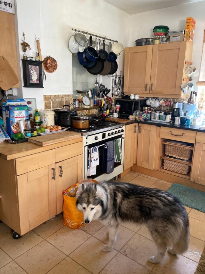Comfy Cosy Little Room Tv Fridge Microwave Upton  Luaran gambar